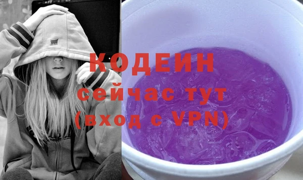 индика Горнозаводск
