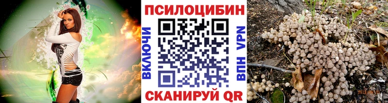 Псилоцибиновые грибы ЛСД  наркошоп  Саяногорск 